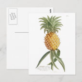 Ananas Postkarte (Vorne/Hinten)