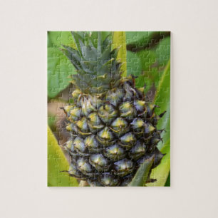 Ananas Puzzle