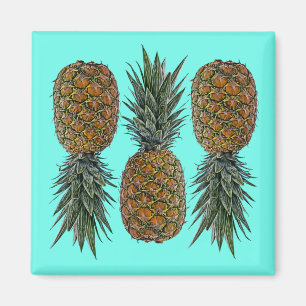 Ananas Retro Vegan und Vegetarisch Vintage Obst Magnet