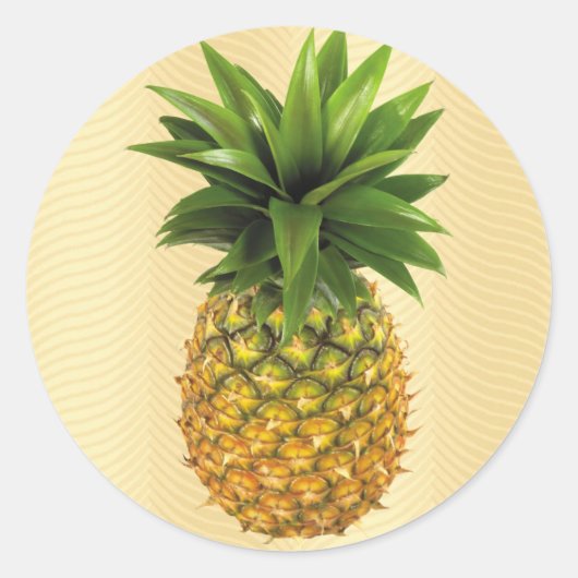 Ananas Runder Aufkleber (Vorderseite)