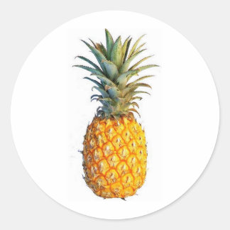 Ananas Runder Aufkleber