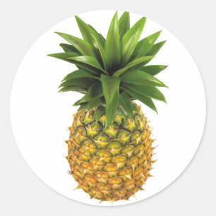 Ananas Runder Aufkleber