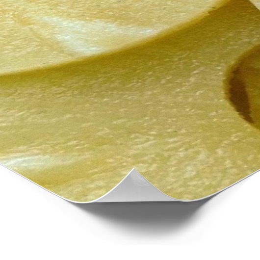 Ananas-Scheiben Poster (Ecke)