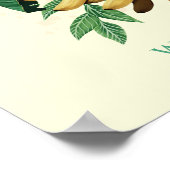 Ananas-Suite im Weißen Lotus Poster (Ecke)