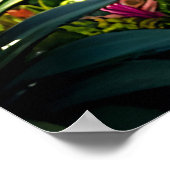 Ananas the Adventurer - Ananas Empire Poster (Ecke)