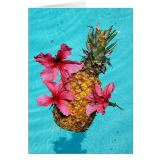 Ananas und Hibiskus