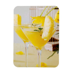 Ananas- und Ingwer-Fresca-Cocktail Magnet