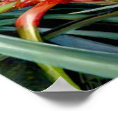 Ananas von Marianne North - Exotische Landschaft Poster (Ecke)