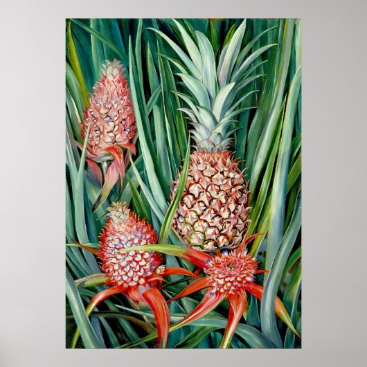 Ananas von Marianne North - Exotische Landschaft Poster (Vorne)