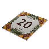 Ananas Wüste Pflanze House Number Sign Plaque Fliese (Seite)