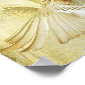 Ananchel Poster (Ecke)