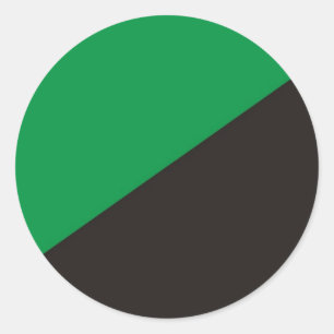Anarchie Öko Flag grüne schwarze Ökologie Runder Aufkleber