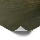 Anas platyrhynchos poster (Ecke)