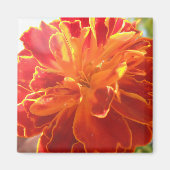 Anastaise Magnet (Vorne)