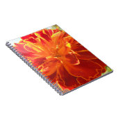 Anastaise Notizblock (Rechte Seite)