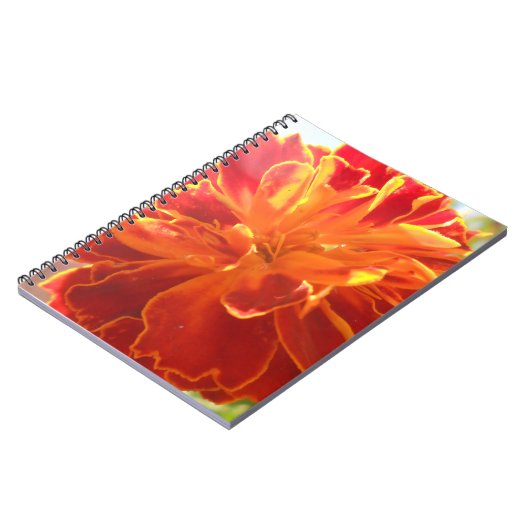 Anastaise Notizblock (Linke Seite)