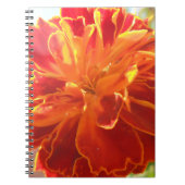 Anastaise Notizblock (Vorderseite)