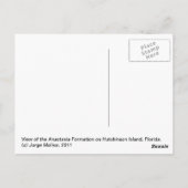 Anastasia Formation, Hutchinson Island, Florida Postkarte (Rückseite)