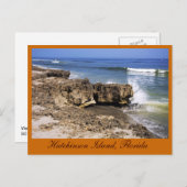 Anastasia Formation, Hutchinson Island, Florida Postkarte (Vorne/Hinten)
