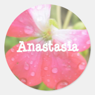 Anastasia-Mädchen nennen Amaryllis-Aufkleber Runder Aufkleber