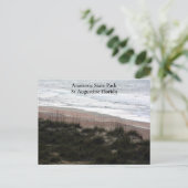 Anastasia Staat Park St Augustine Postkarte (Stehend Vorderseite)