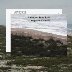 Anastasia State Park St Augustine Florida Reise Postkarte
