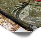 Anastasie des orthodoxen Sirmium-Christlichen Symb Poster (Ecke)