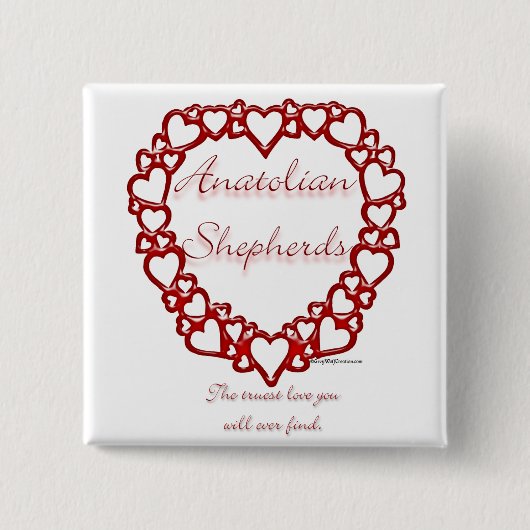 Anatolian Shepherd Button (Vorderseite)