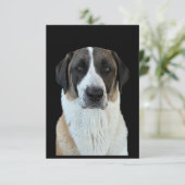 Anatolian Shepherd Danke-Card Dankeskarte (Stehend Vorderseite)