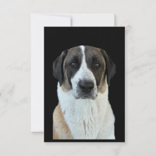 Anatolian Shepherd Danke-Card Dankeskarte