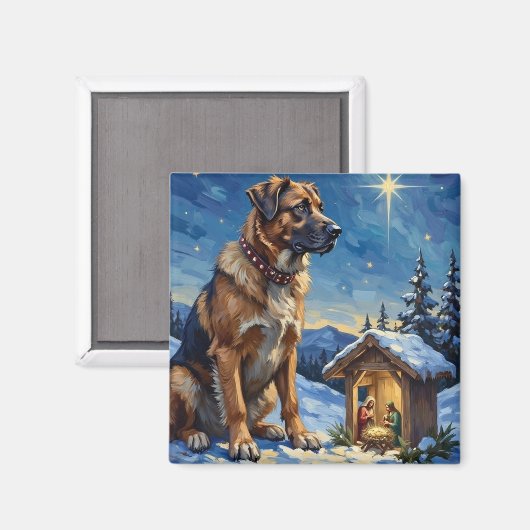 Anatolian Shepherd Dog Guarding Nativity Scene Magnet (Vorderseite/Rückseite)