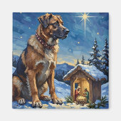 Anatolian Shepherd Dog Guarding Nativity Scene Magnet (Vorne)