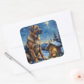 Anatolian Shepherd Dog Guarding Nativity Scene Quadratischer Aufkleber (Umschlag)