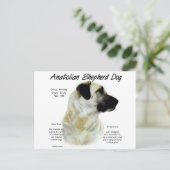 Anatolian Shepherd Dog History Postkarte (Stehend Vorderseite)