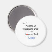 Anatolian Shepherd Dog Lick Design Magnet (Vorderseite/Rückseite)
