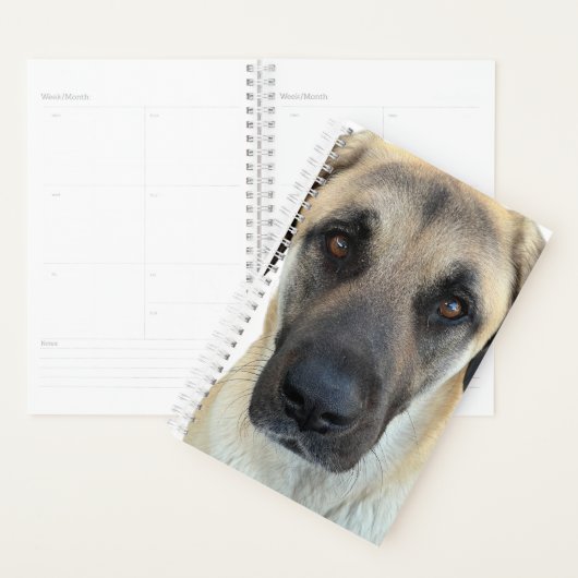 Anatolian Shepherd Dog Planner Planer (Anzeige)