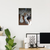 Anatolian Shepherd Dog Poster (Heimbüro)