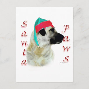 Anatolian Shepherd Dog Santa Paws Feiertagspostkarte