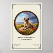 Anatolian Shepherd Dog Zoology Series Poster (Vorne)