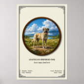 Anatolian Shepherd Dog Zoology Series Poster (Vorne)