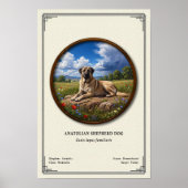 Anatolian Shepherd Dog Zoology Series Poster (Vorne)