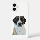 Anatolian Shepherd iPhone/iPad Case (Rückseite)