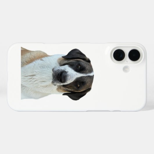 Anatolian Shepherd iPhone/iPad Case (Rückseite (Horizontal))