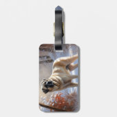 Anatolian Shepherd Let It Snow Christmas Gepäckanhänger (Rückseite vertikal)