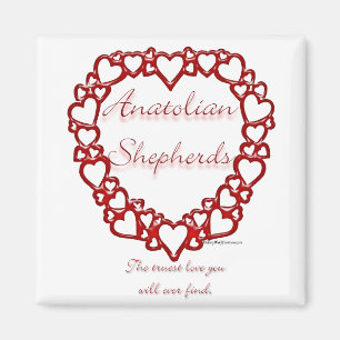 Anatolian Shepherd Magnet