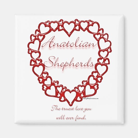 Anatolian Shepherd Magnet (Vorne)