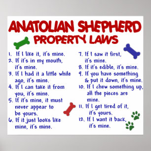 ANATOLIAN SHEPHERD PL2 POSTER