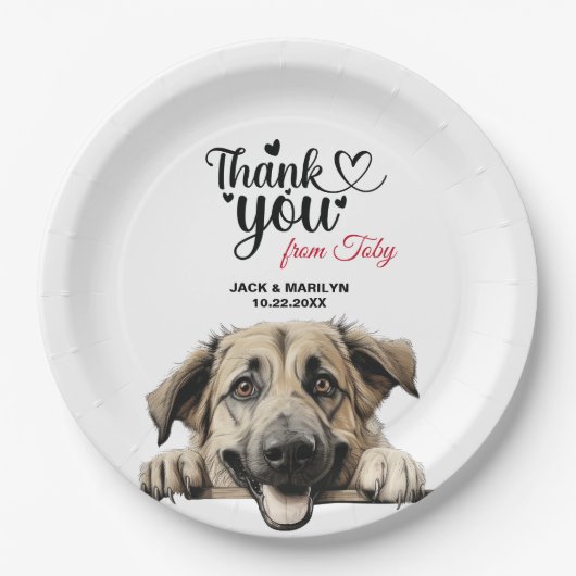 Anatolian Shepherd Wedding Reception Pappteller (Vorderseite)