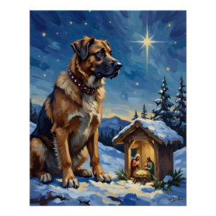Anatolianscher Hirtenhund bewacht eine Weihnachtsk Poster