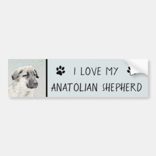 Anatolische Hirtenmalerei - Originelle Hundekunst Autoaufkleber